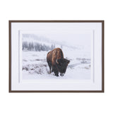 Winter in Paradise by Gary Blatter a Hand Embellished Textured Framed Photo Art Print Matted under G from Mercana - Luna Furniture