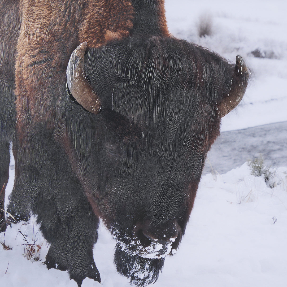 Winter in Paradise by Gary Blatter a Hand Embellished Textured Framed Photo Art Print Matted under G from Mercana - Luna Furniture