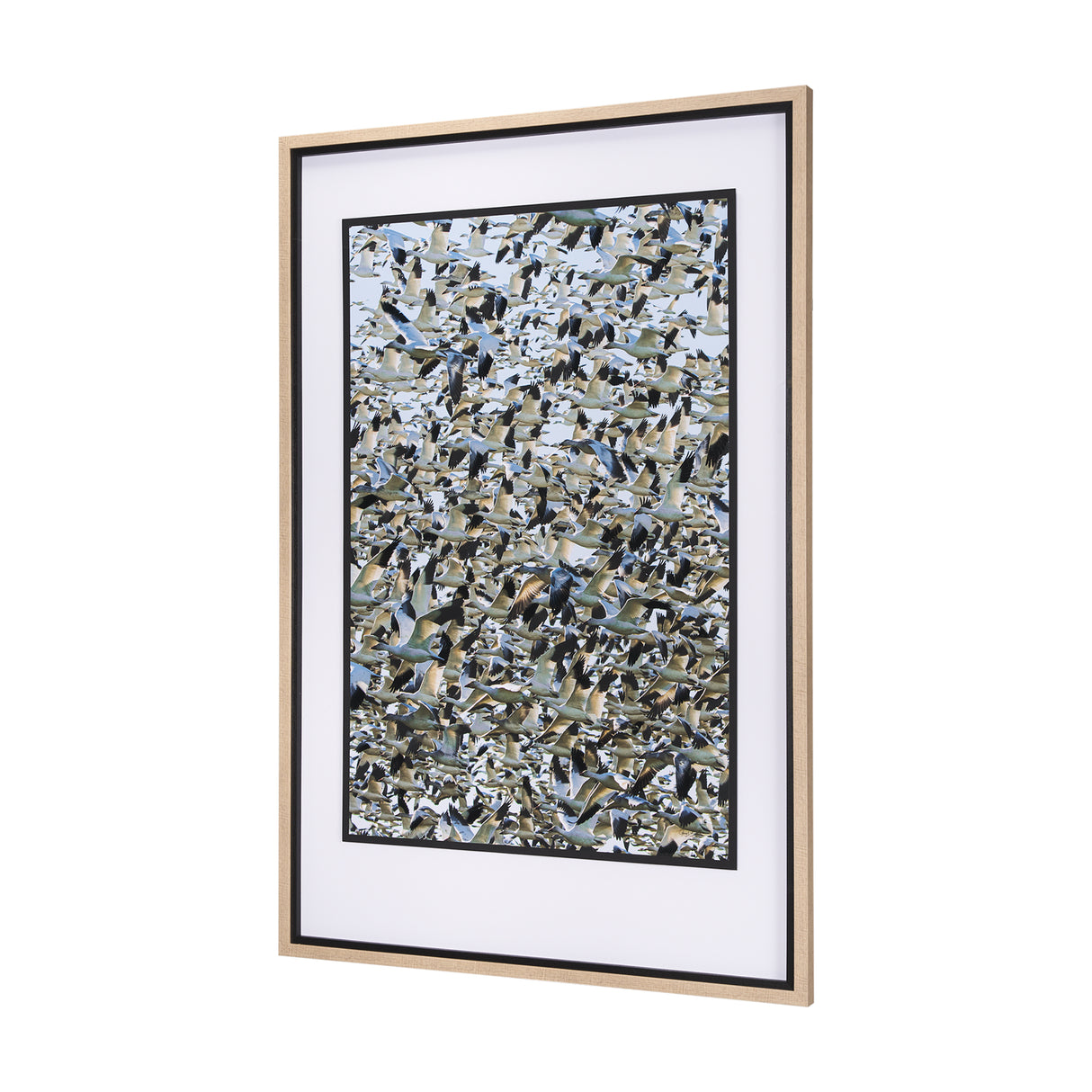 Snowgoose Migration 1 by Gary Blatter Hand Embellished Textured Framed Art Print Matted under Glass from Mercana - Luna Furniture