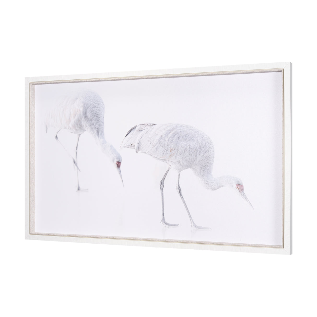 Sandhill Crane I by Chad Mckay a Hand Embelished Textured Framed Photo Art Print from Mercana - Luna Furniture