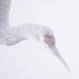 Sandhill Crane I by Chad Mckay a Hand Embelished Textured Framed Photo Art Print from Mercana - Luna Furniture