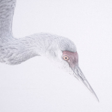 Sandhill Crane I by Chad Mckay a Hand Embelished Textured Framed Photo Art Print from Mercana - Luna Furniture