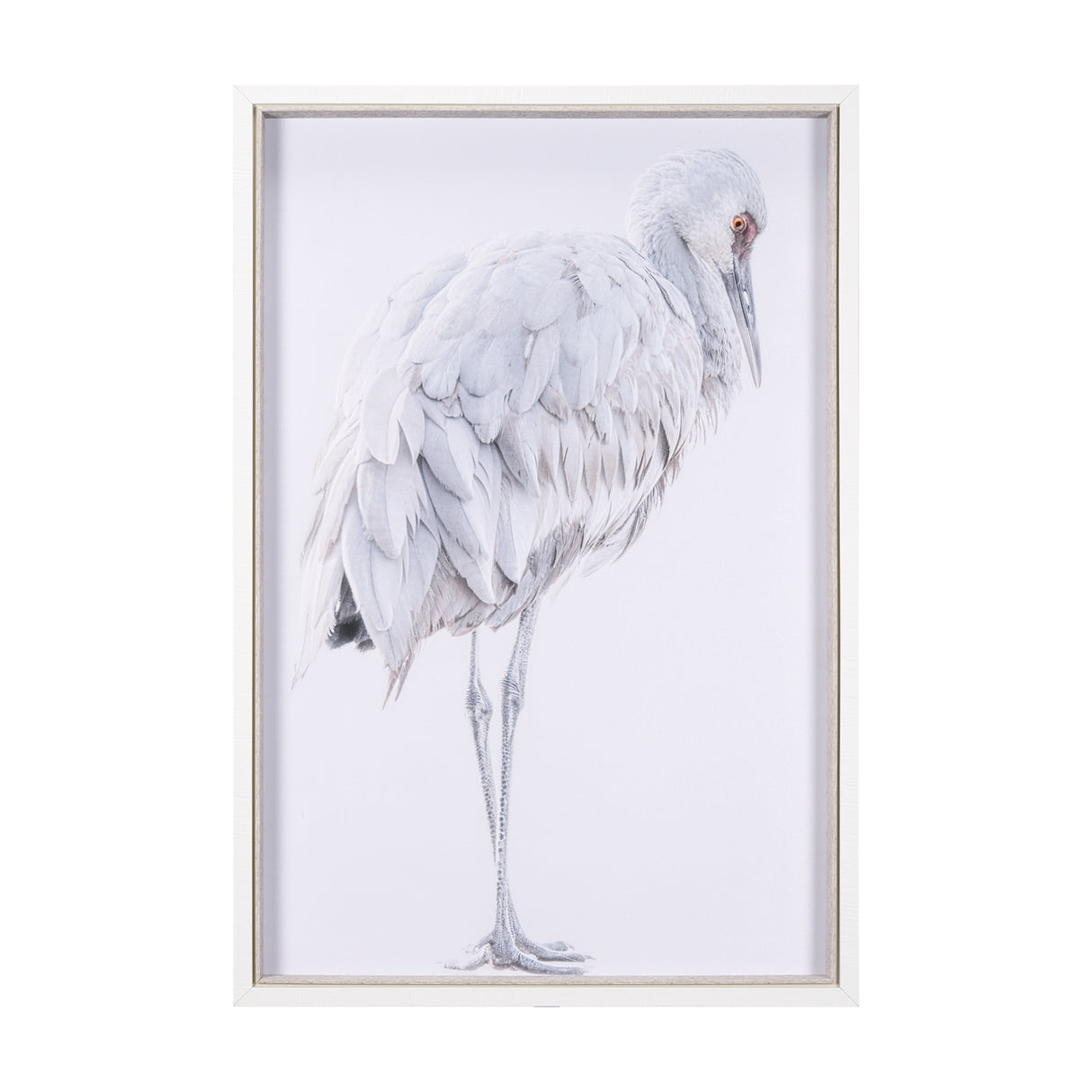 Sandhill Crane II by Chad Mckay a Hand Embelished Textured Framed Photo Art Print from Mercana - Luna Furniture