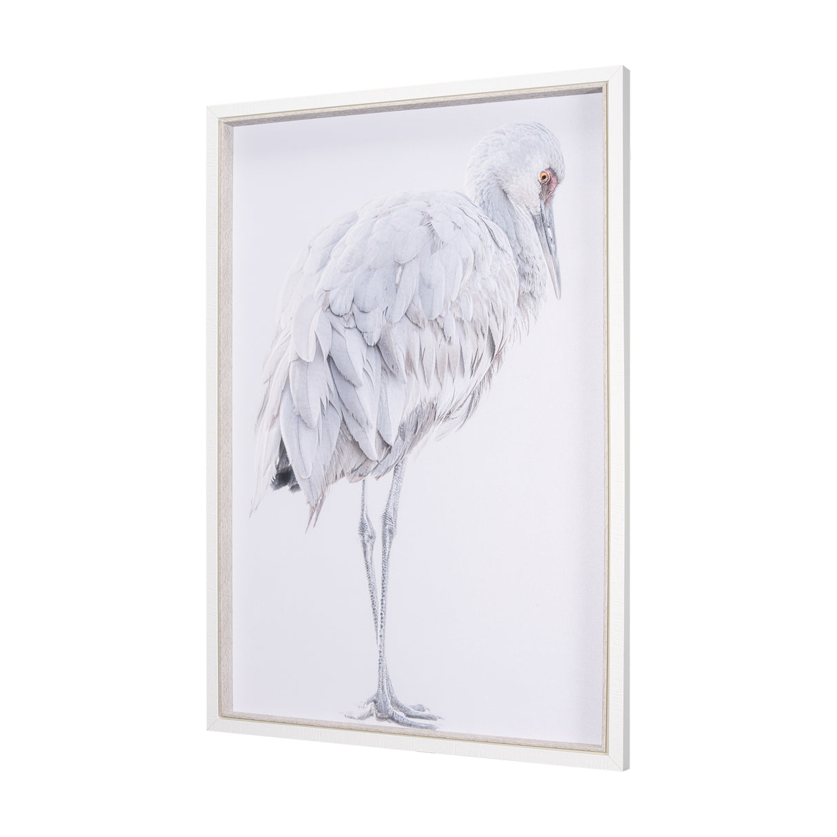 Sandhill Crane II by Chad Mckay a Hand Embelished Textured Framed Photo Art Print from Mercana - Luna Furniture