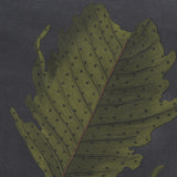 Foliage Dramatique VI by Vision Studio Hand Embellished Textured Framed Art Print Matted under Glass from Mercana - Luna Furniture