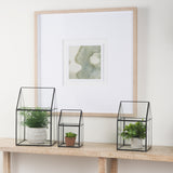 Sikes (Medium) 8L x 8W x 13H Hut Terrarium W/Glass Base from Mercana - Luna Furniture