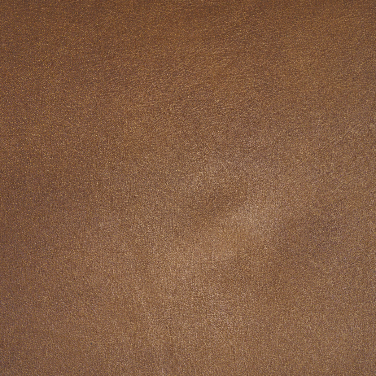 Taniel Brown Leather w/ Black Metal Stool from Mercana - Luna Furniture