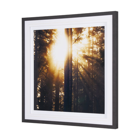 Woodland Glow by Andreas Stridsberg a Hand Embelished Textured Framed Art Photo Matted under Glass from Mercana - Luna Furniture