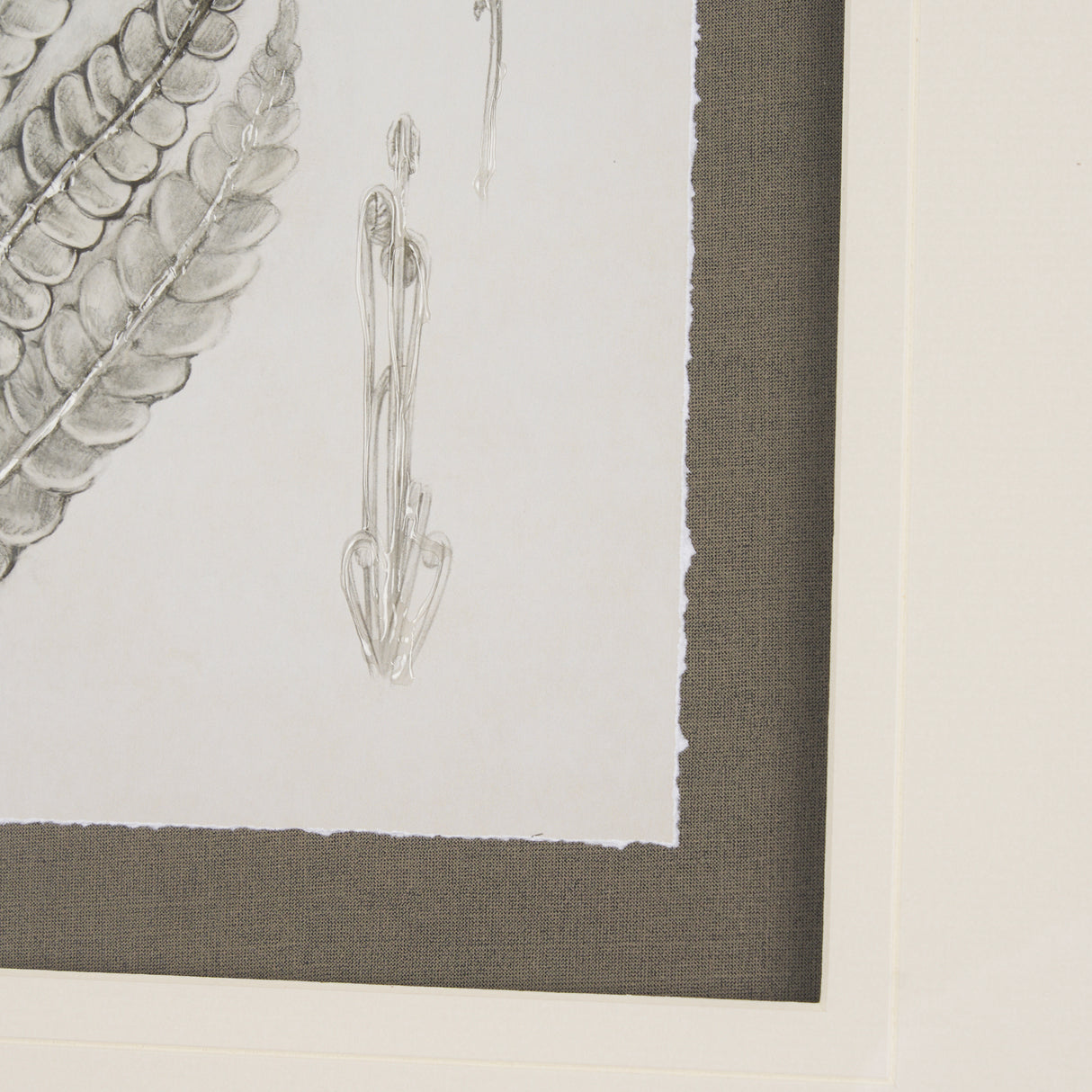 Fern Study I by Mercana Studio Hand Embelished Framed Art Print Matted under Glass from Mercana - Luna Furniture