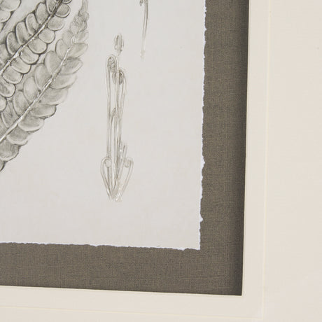 Fern Study I by Mercana Studio Hand Embelished Framed Art Print Matted under Glass from Mercana - Luna Furniture