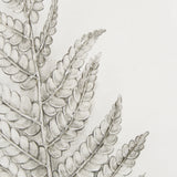 Fern Study I by Mercana Studio Hand Embelished Framed Art Print Matted under Glass from Mercana - Luna Furniture