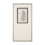 Fern Study II by Mercana Studio Hand Embelished Framed Art Print Matted under Glass from Mercana - Luna Furniture