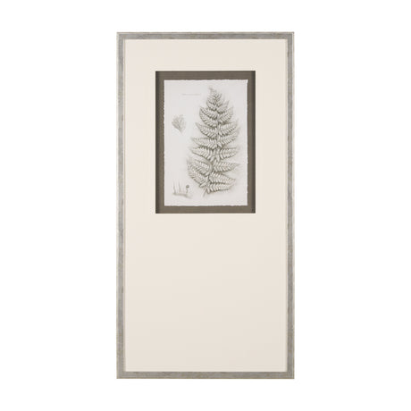 Fern Study II by Mercana Studio Hand Embelished Framed Art Print Matted under Glass from Mercana - Luna Furniture