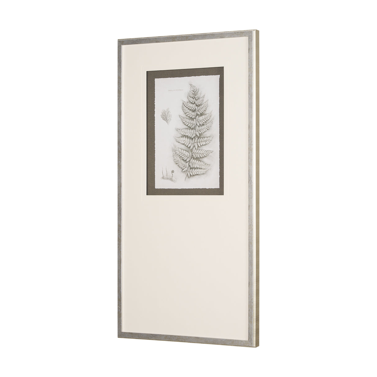 Fern Study II by Mercana Studio Hand Embelished Framed Art Print Matted under Glass from Mercana - Luna Furniture
