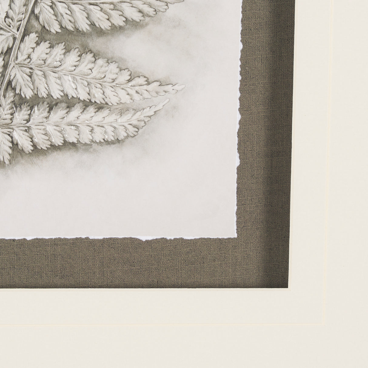Fern Study II by Mercana Studio Hand Embelished Framed Art Print Matted under Glass from Mercana - Luna Furniture