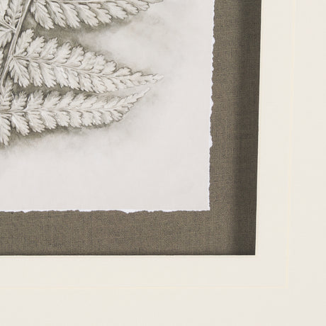 Fern Study II by Mercana Studio Hand Embelished Framed Art Print Matted under Glass from Mercana - Luna Furniture