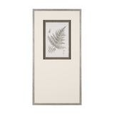 Fern Study III by Mercana Studio Hand Embelished Framed Art Print Matted under Glass from Mercana - Luna Furniture
