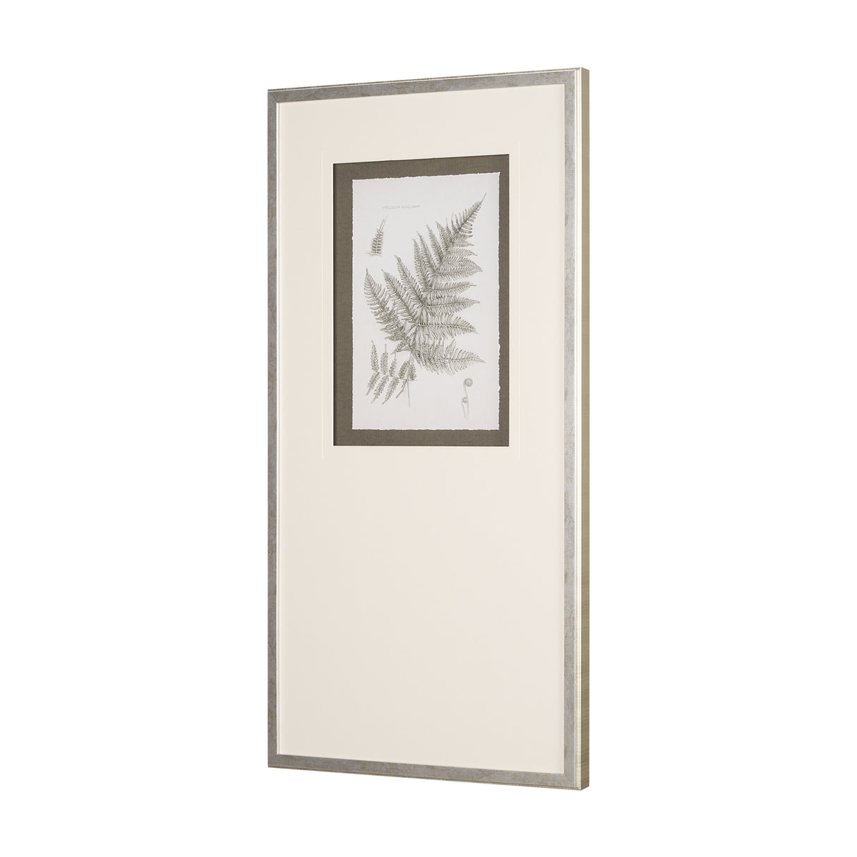 Fern Study III by Mercana Studio Hand Embelished Framed Art Print Matted under Glass from Mercana - Luna Furniture