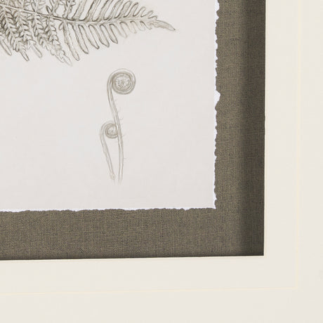 Fern Study III by Mercana Studio Hand Embelished Framed Art Print Matted under Glass from Mercana - Luna Furniture