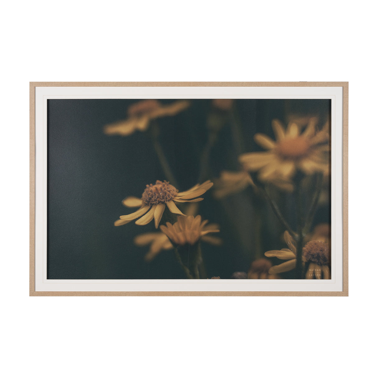 Wild Blooms I by Nathan Larson a Hand Embellished Framed Photo Art Print Matted under Glass from Mercana - Luna Furniture