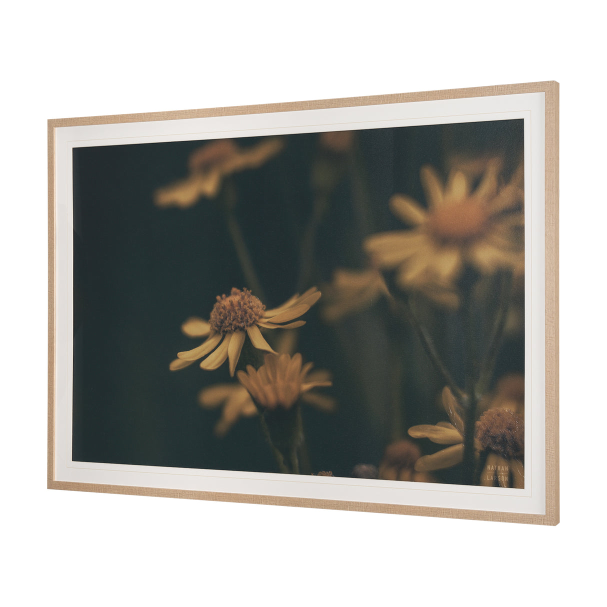 Wild Blooms I by Nathan Larson a Hand Embellished Framed Photo Art Print Matted under Glass from Mercana - Luna Furniture