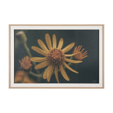Wild Blooms II by Nathan Larson a Hand Embellished Framed Photo Art Print Matted under Glass from Mercana - Luna Furniture