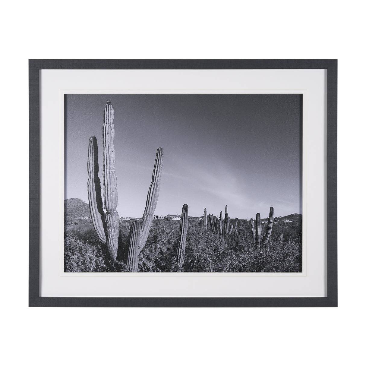 On The Ranch Cactus I by Norm Stelfox Hand Embelished Textured Framed Photo Art Print Matted under G from Mercana - Luna Furniture