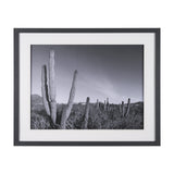 On The Ranch Cactus I by Norm Stelfox Hand Embelished Textured Framed Photo Art Print Matted under G from Mercana - Luna Furniture