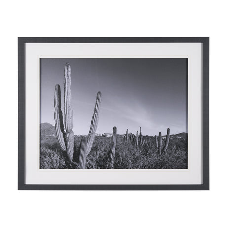 On The Ranch Cactus I by Norm Stelfox Hand Embelished Textured Framed Photo Art Print Matted under G from Mercana - Luna Furniture