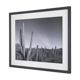 On The Ranch Cactus I by Norm Stelfox Hand Embelished Textured Framed Photo Art Print Matted under G from Mercana - Luna Furniture
