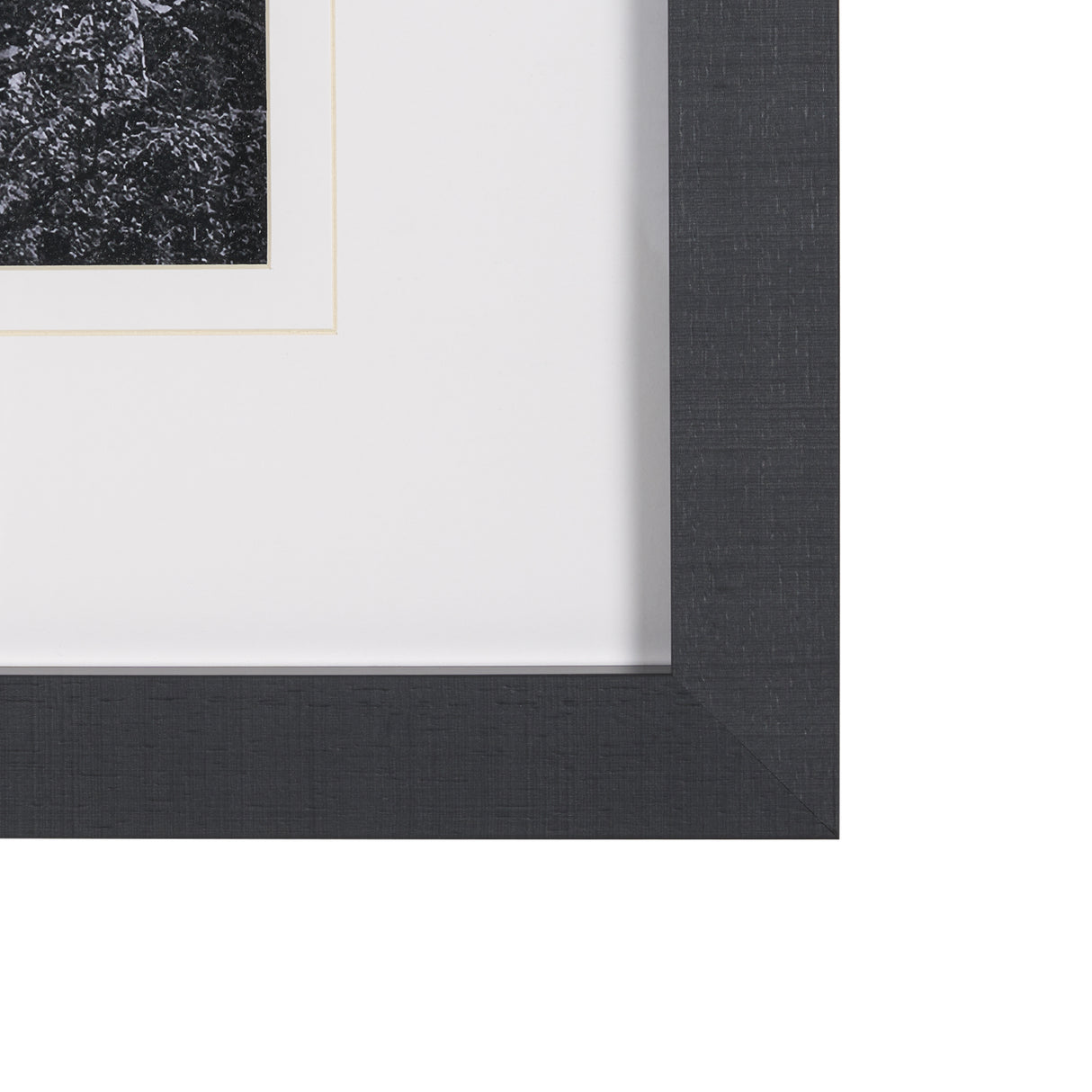 On The Ranch Cactus I by Norm Stelfox Hand Embelished Textured Framed Photo Art Print Matted under G from Mercana - Luna Furniture