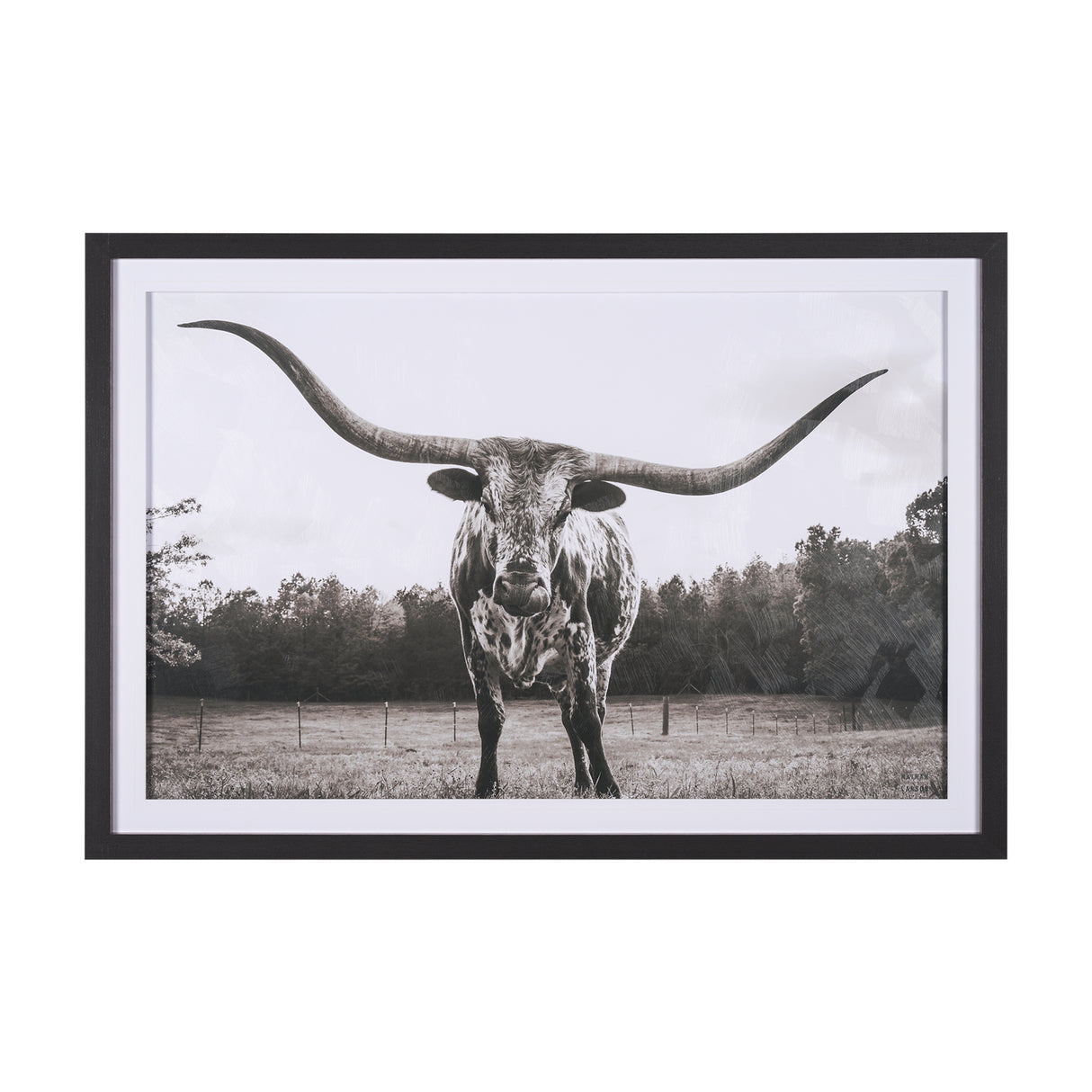 Longhorn Last Call BW by Nathan Larson Hand Embelished Textured Framed Photo Art Print Matted under from Mercana - Luna Furniture