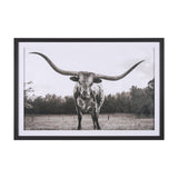 Longhorn Last Call BW by Nathan Larson Hand Embelished Textured Framed Photo Art Print Matted under from Mercana - Luna Furniture