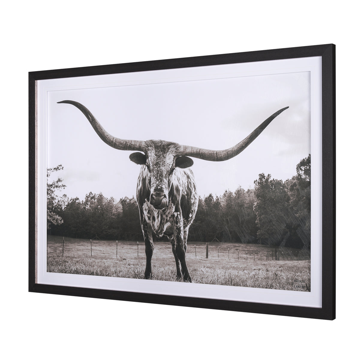 Longhorn Last Call BW by Nathan Larson Hand Embelished Textured Framed Photo Art Print Matted under from Mercana - Luna Furniture