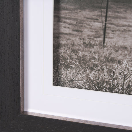 Longhorn Last Call BW by Nathan Larson Hand Embelished Textured Framed Photo Art Print Matted under from Mercana - Luna Furniture