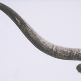 Longhorn Last Call BW by Nathan Larson Hand Embelished Textured Framed Photo Art Print Matted under from Mercana - Luna Furniture