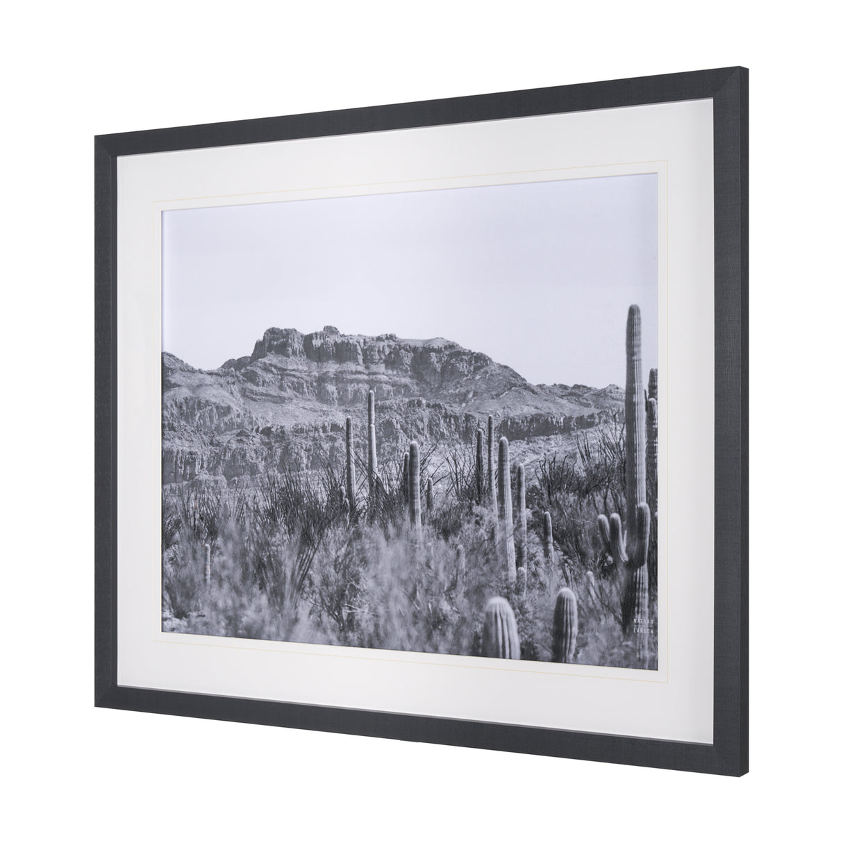 American Borderlands by Nathan Larson Hand Embelished Textured Framed Photo Art Print Matted under G from Mercana - Luna Furniture