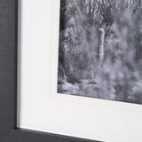 American Borderlands by Nathan Larson Hand Embelished Textured Framed Photo Art Print Matted under G from Mercana - Luna Furniture