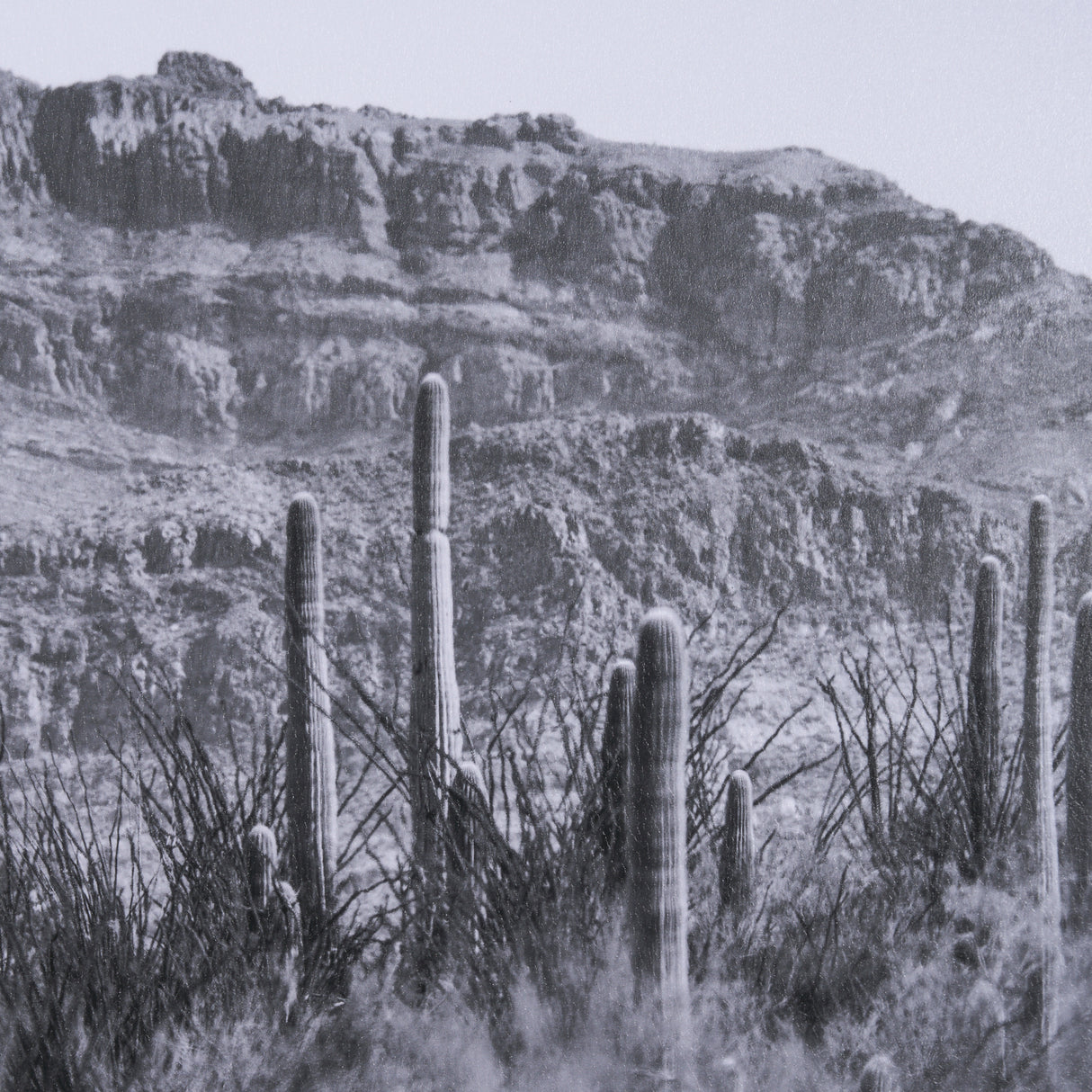 American Borderlands by Nathan Larson Hand Embelished Textured Framed Photo Art Print Matted under G from Mercana - Luna Furniture