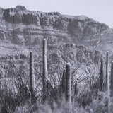 American Borderlands by Nathan Larson Hand Embelished Textured Framed Photo Art Print Matted under G from Mercana - Luna Furniture