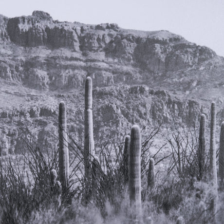 American Borderlands by Nathan Larson Hand Embelished Textured Framed Photo Art Print Matted under G from Mercana - Luna Furniture