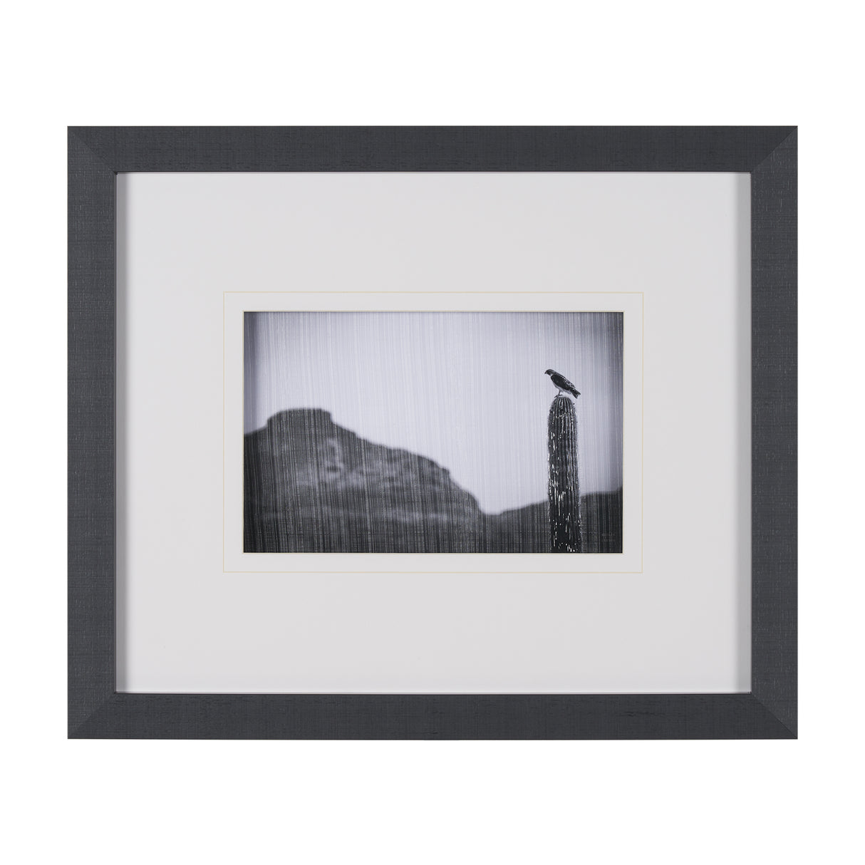 Desert Hunter by Nathan Larson a Hand Embelished Textured Framed Photo Art Print Matted under Glass from Mercana - Luna Furniture