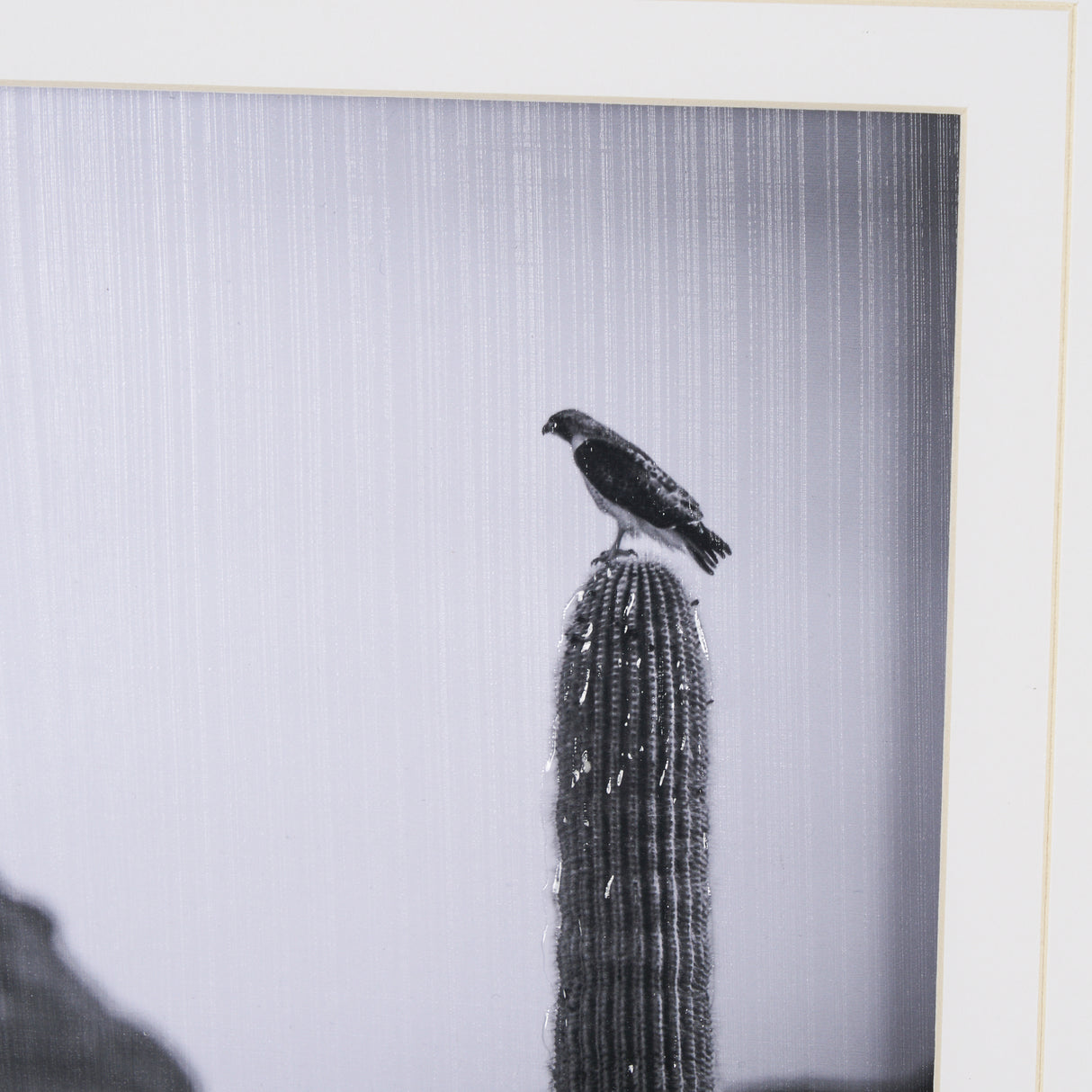 Desert Hunter by Nathan Larson a Hand Embelished Textured Framed Photo Art Print Matted under Glass from Mercana - Luna Furniture