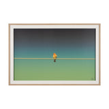 Wired Finch by Nathan Larson a Hand Embellished Framed Photo Art Print Matted under Glass from Mercana - Luna Furniture