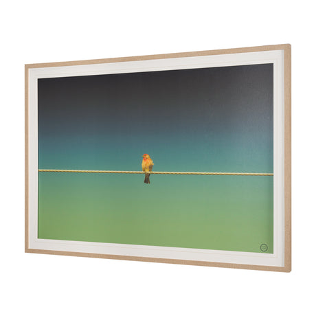 Wired Finch by Nathan Larson a Hand Embellished Framed Photo Art Print Matted under Glass from Mercana - Luna Furniture