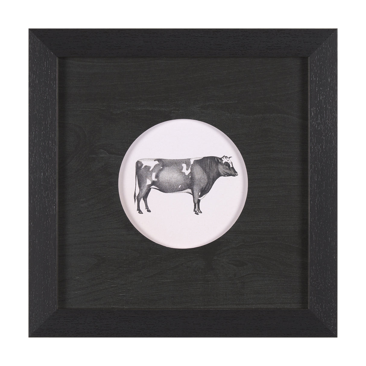 Down On The Farm I by Wild Apple Portfolio a Framed Art Print Matted under Glass from Mercana - Luna Furniture