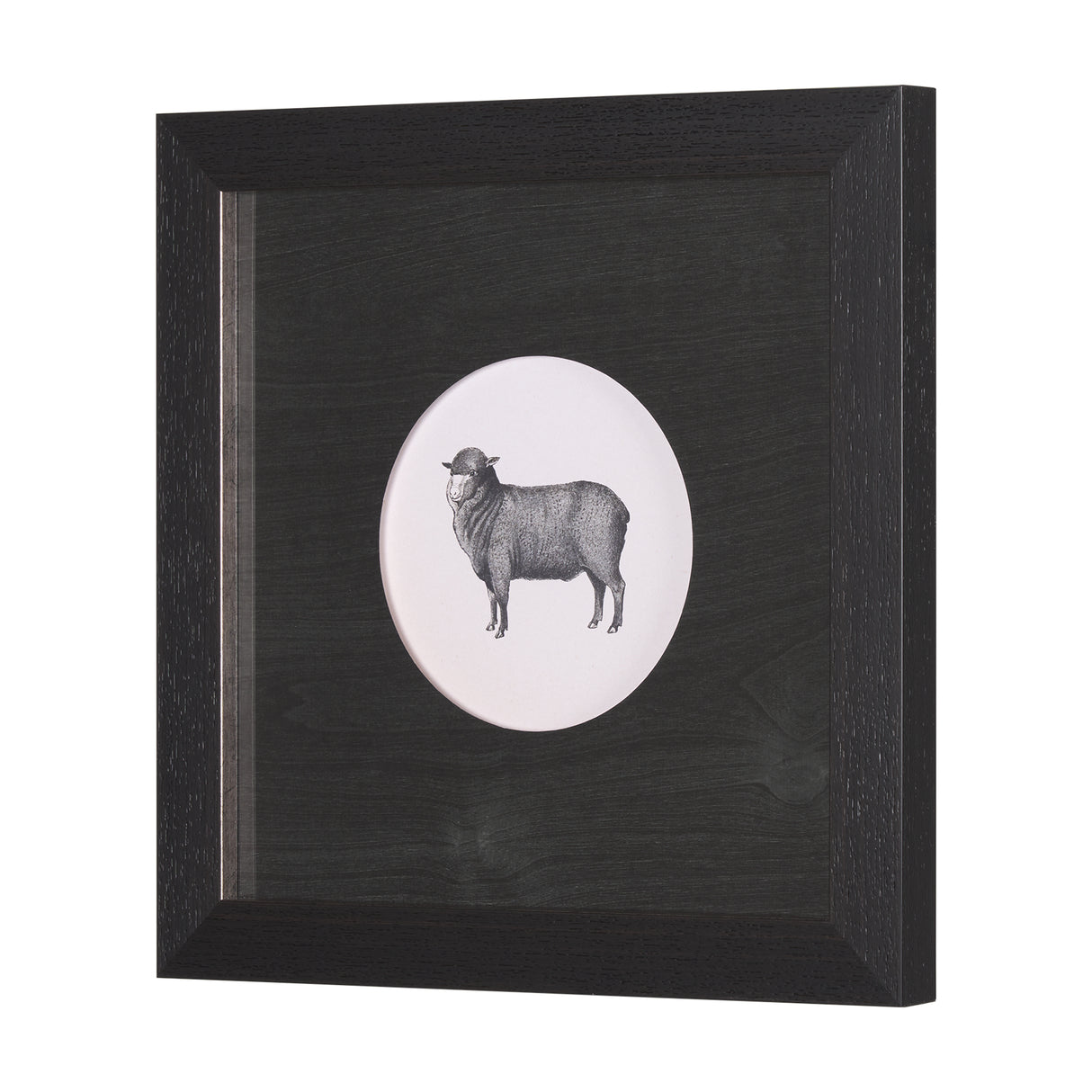 Down On The Farm II by Wild Apple Portfolio a Framed Art Print Matted under Glass from Mercana - Luna Furniture