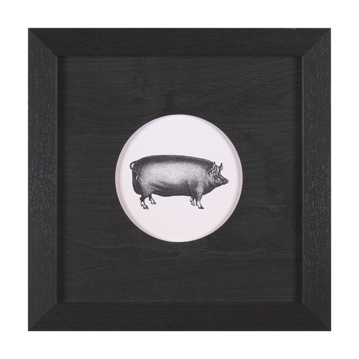 Down On The Farm III by Wild Apple Portfolio a Framed Art Print Matted under Glass from Mercana - Luna Furniture