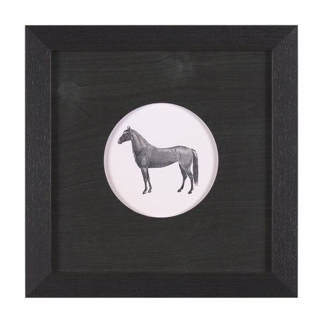 Down On The Farm IV by Wild Apple Portfolio a Framed Art Print Matted under Glass from Mercana - Luna Furniture