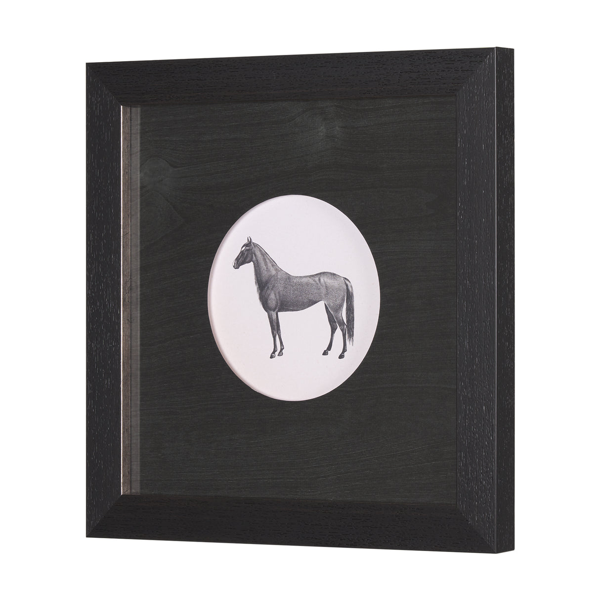 Down On The Farm IV by Wild Apple Portfolio a Framed Art Print Matted under Glass from Mercana - Luna Furniture